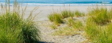 Hoteles con estacionamiento en Ocean City