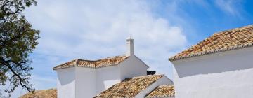 Villas en Alhaurín de la Torre