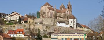 Hotels with Parking in Breisach am Rhein