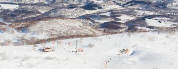 Hotéis em Niseko