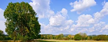 Hoteles con parking en Saint-Julien-aux-Bois