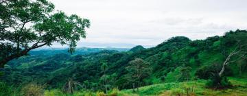 Budget Hotels in Monteverde Costa Rica