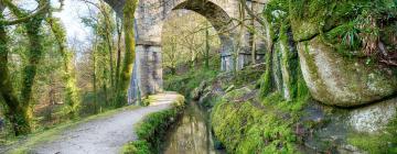 Cottages in Luxulyan