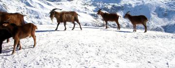 Hotéis em Saint-Jean-de-Maurienne