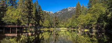 Cottages in Idyllwild