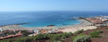 Pet-Friendly Hotels in Los Cristianos
