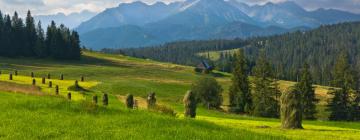 Hotely v destinácii Bukowina Tatrzańska