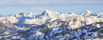 Resorts de esquí en Oberried