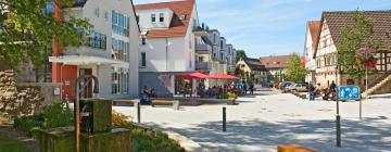 Hotels mit Parkplatz in Neckartenzlingen
