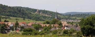 Parkolóval rendelkező hotelek Forstban