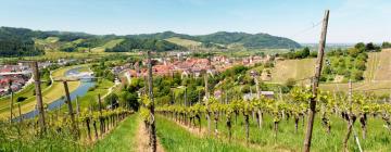 Guest Houses in Gengenbach