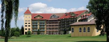 Hotel dengan Kolam Renang di Birch Run