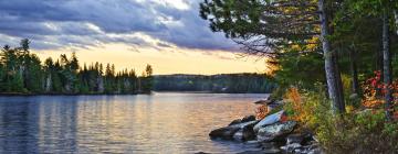 Hotels in Algonquin