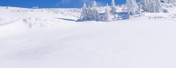 Resorts de esquí en Angerberg