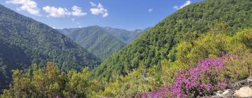 Holiday Rentals in Sellaño