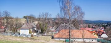 Hotels with Parking in Svratka