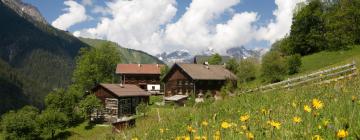 Farm Stays in Obertilliach