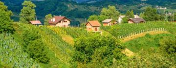 Holiday Rentals in Zagorje