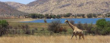 Lodge di Pilanesberg