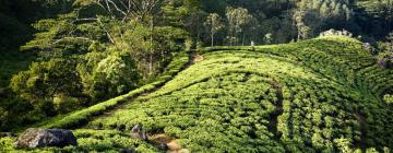 Hotel di Bandarawela