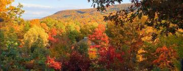 Hotel di Tannersville