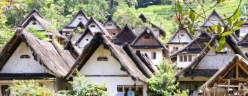 Guest Houses in Tasikmalaya