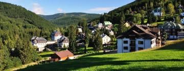 Hoteles en Špindlerův Mlýn