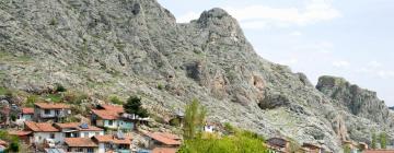 Hotels in Tokat