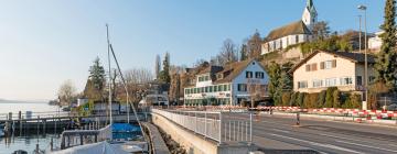 Hoteles familiares en Herrliberg