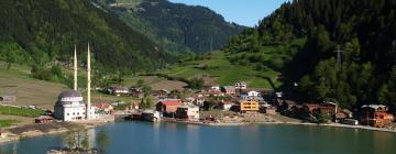 Cottages in Uzungol