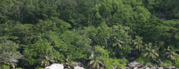 Beach Hotels in Silhouette Island