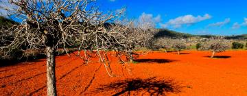 Hotéis em Santa Gertrudis de Fruitera