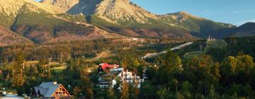 Hotels in Vysoke Tatry - Tatranska Lomnica.