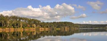 Cottages in Bomaderry