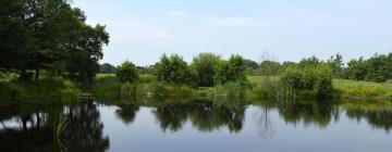 Hotels with Parking in Twijzelerheide