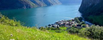 Alquileres vacacionales en Undredal