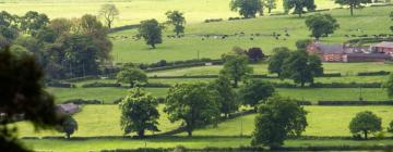 Cottages in Cuddington