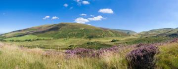 B&Bs in Pen-y-cae