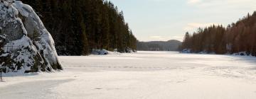 Viešbučiai mieste Ski