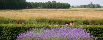 Hoteles en Sint Michielsgestel