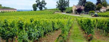 Hoteles con estacionamiento en Moulon-sur-Dordogne