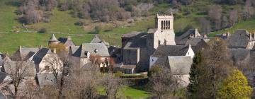 Cottages in Saint-Urcize