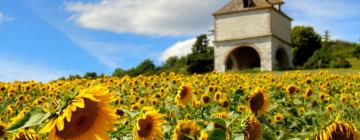 Ferieboliger i Lisle-sur-Tarn