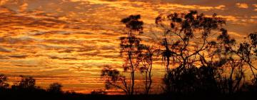 Hoteles con parking en Cunnamulla