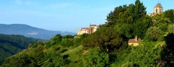 Bed & breakfast σε Rogliano