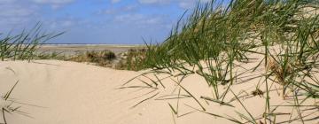 Hoteles en Slettestrand