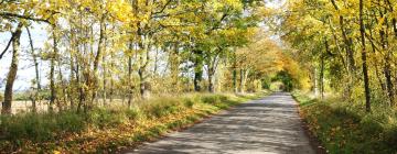 Holiday Homes in Leavenheath