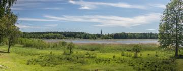 Beach rentals in Stenkullen