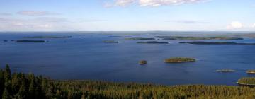 Отели с парковкой в городе Вуонислахти