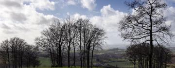 Holiday Homes in Iwerne Minster